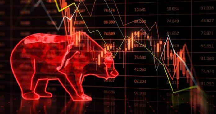 Bear-market-dse-dorpoton3-1024x538