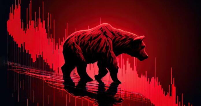 Bear-market-dse-dorpoton1-1-1024x538