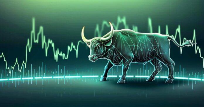 Bull-Dse-Market1-1-1024x538