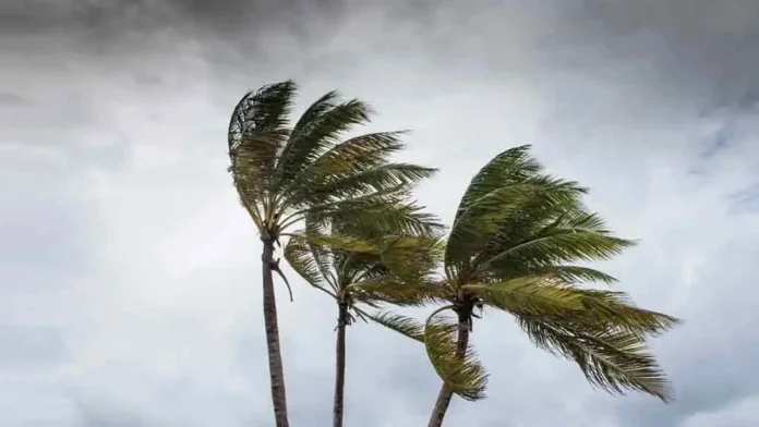 storm-20260610083133