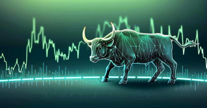 Bull-Dse-Market1