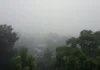 হঠাৎ ঘন কুয়াশায় ঢাকা পড়ল নীলফামারী