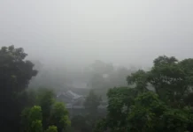 হঠাৎ ঘন কুয়াশায় ঢাকা পড়ল নীলফামারী